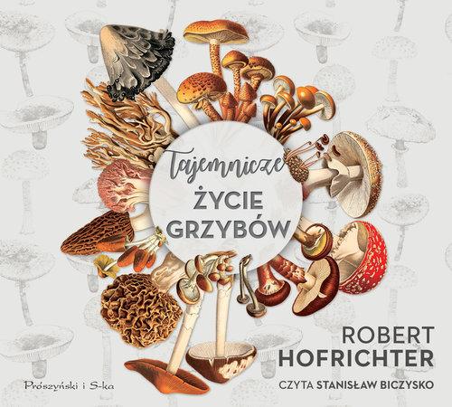 Tajemnicze życie grzybów Robert Hofrichter