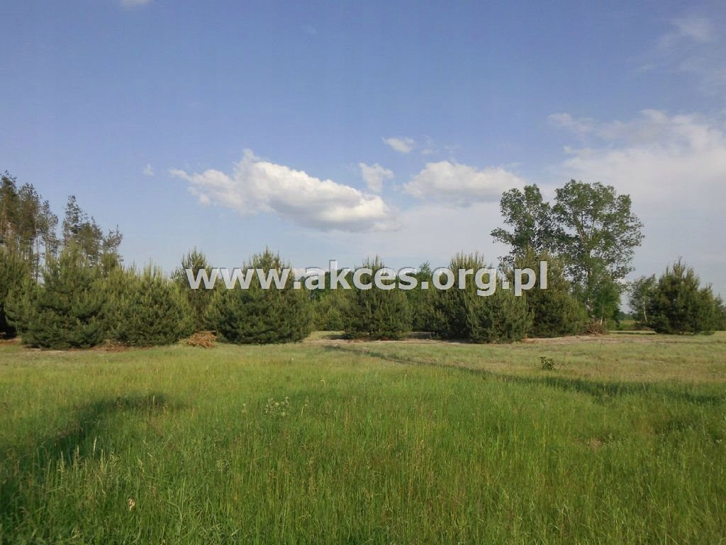 Działka, Szczyty, Białobrzegi (gm.), 57500 m²