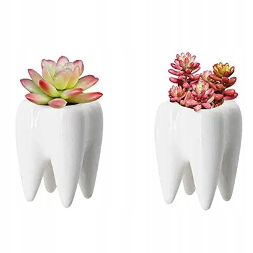 2 sztuki ceramicznych doniczek na kwiaty z zębami,