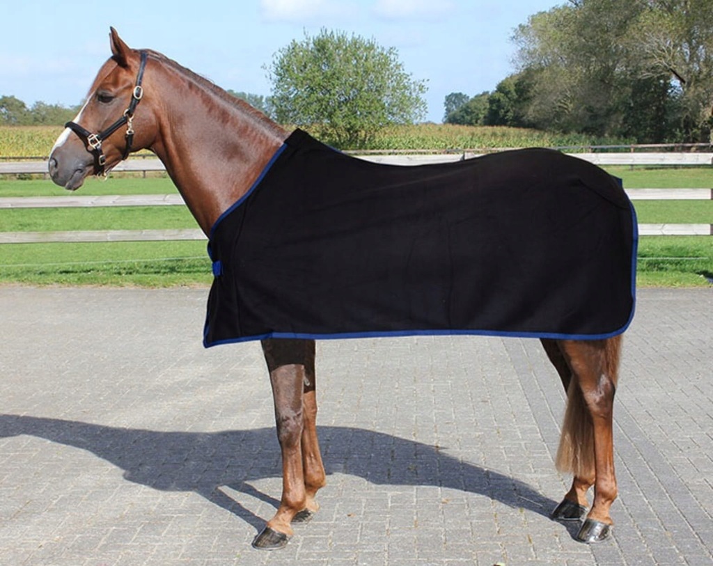 QHP derka polarowa BASIC black 24H 155