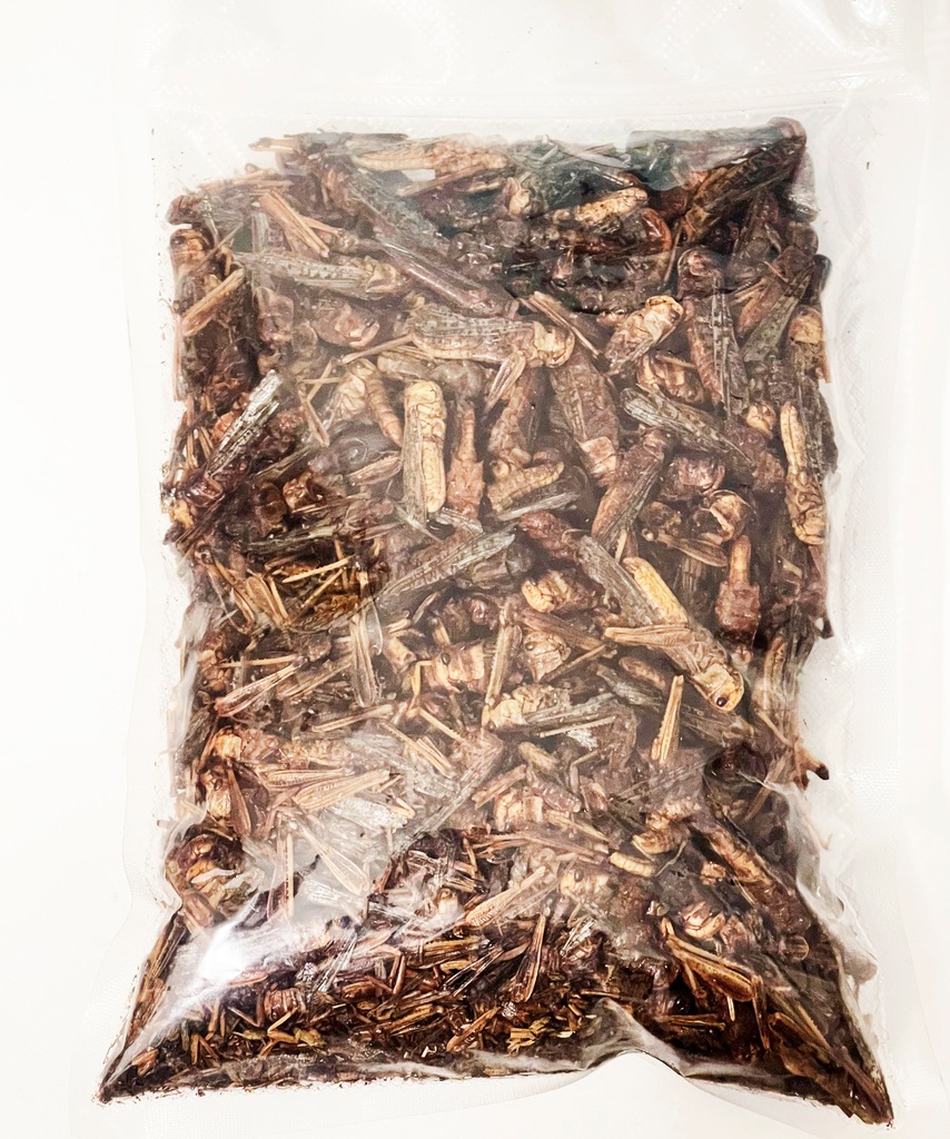 Reptile food Dried Grasshoppers, koniki polne 200g