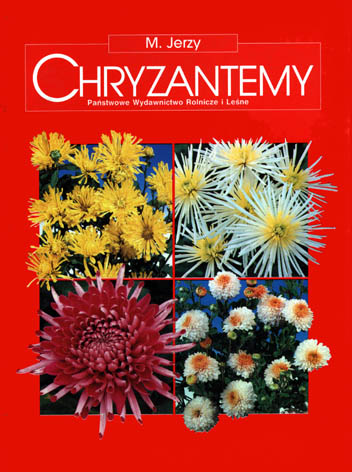 Chryzantemy odmiany chryzantem uprawa choroby