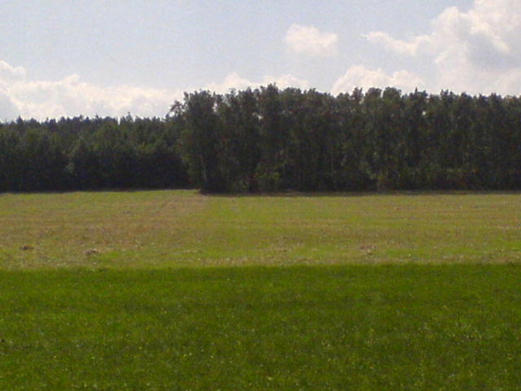 Działka, Naruszewo, Naruszewo (gm.), 53000 m²