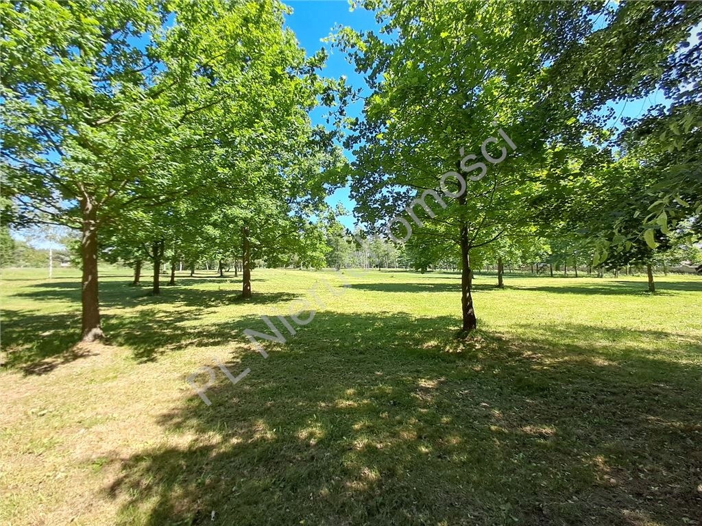 Działka, Celinów, Dębe Wielkie, Miński, 1255 m²