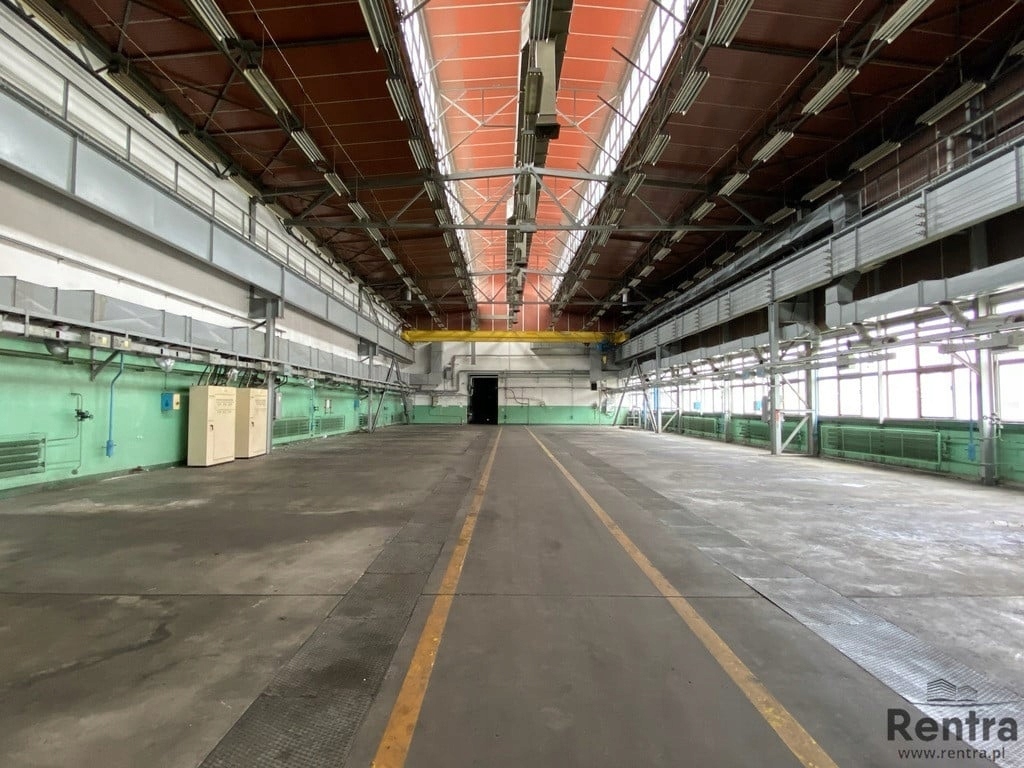 Magazyny i hale, Rzeszów, 1100 m²