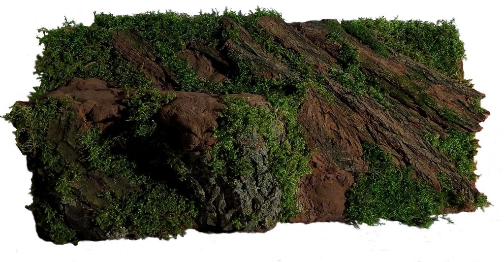 Купить Фон для ЛЕСНОГО ТЕРРАРИУМА - змея, ящерица: отзывы, фото и ...