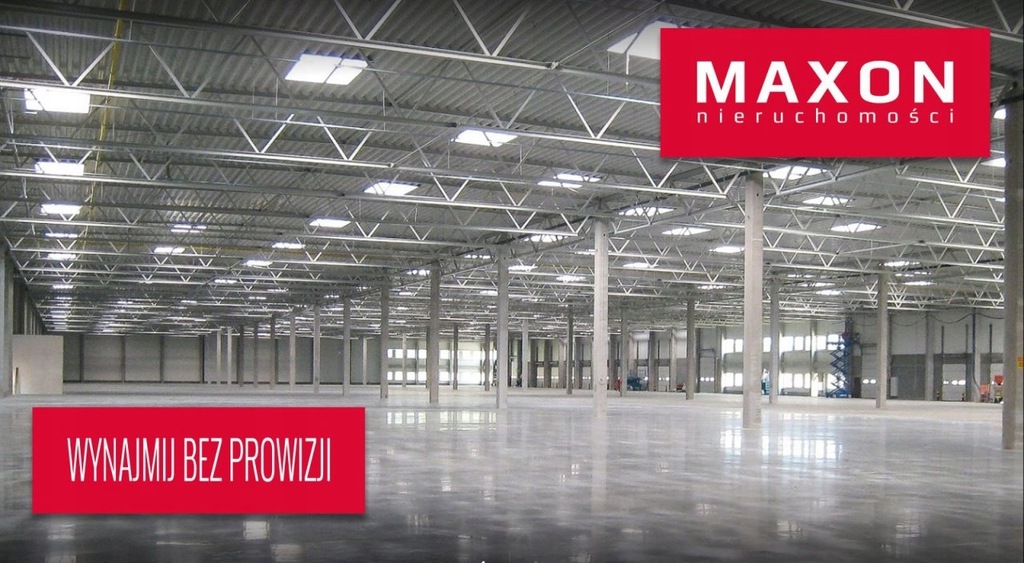 magazyn Długołęka, wrocławski, 1000,00 m²