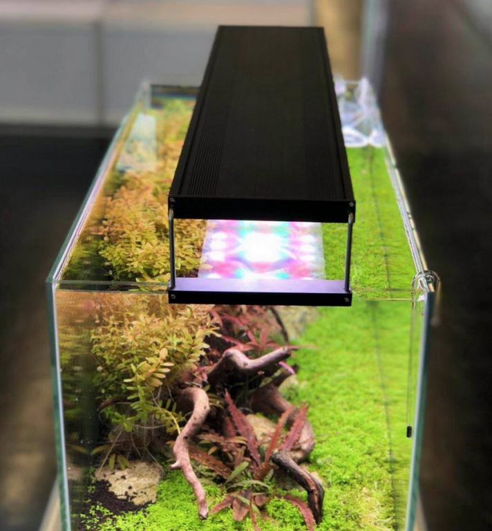 Купить Chihiros RGB A601 Plus 60 см 45 Вт с контроллером: отзывы, фото ...