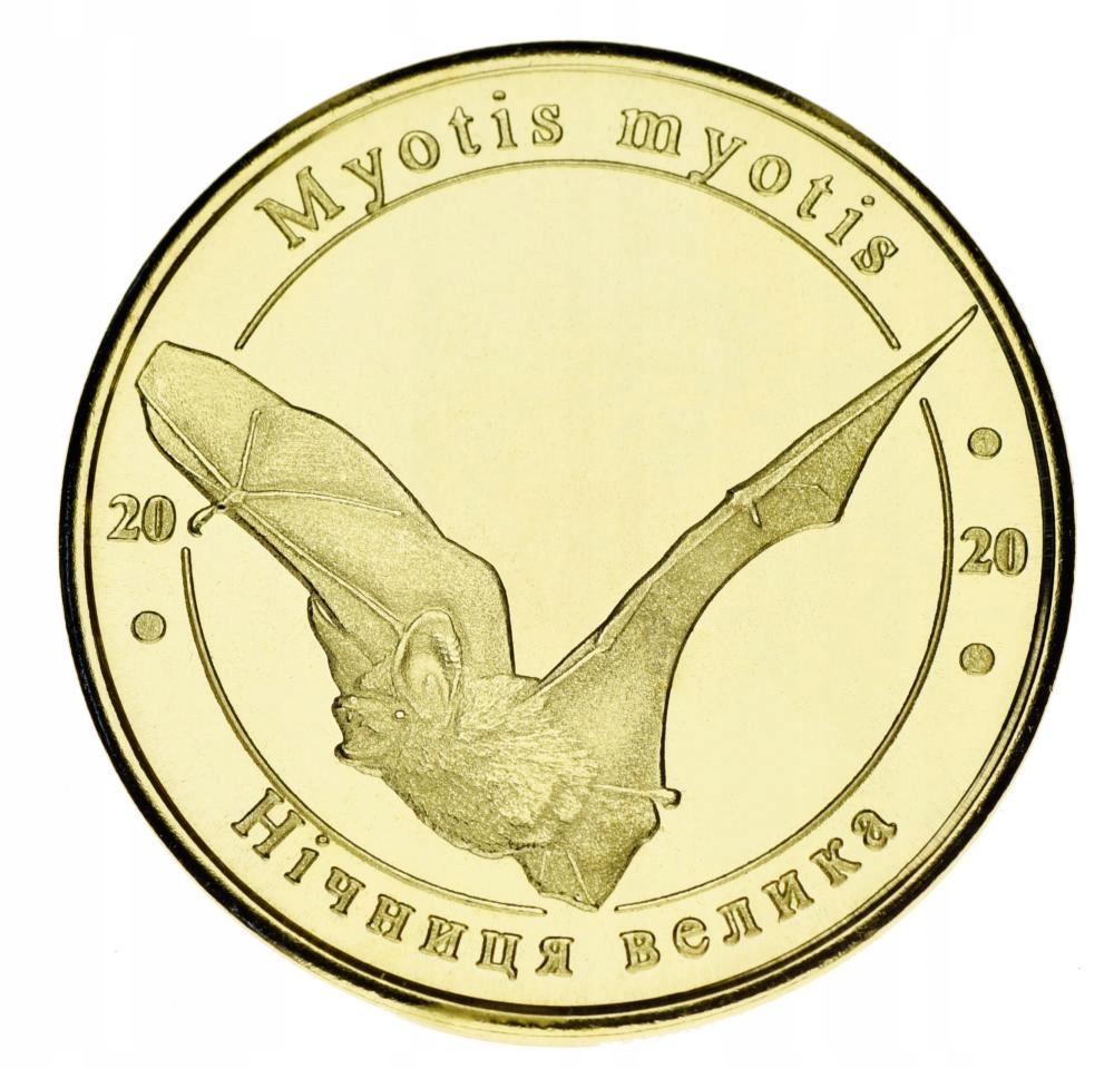 Ukraina - 1 złotnik Nocek duży (2020)