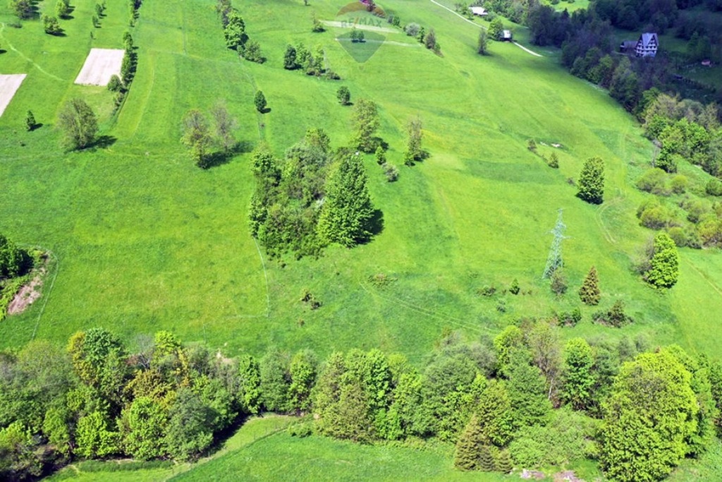 Działka, Bukowina Tatrzańska (gm.)1332 m²