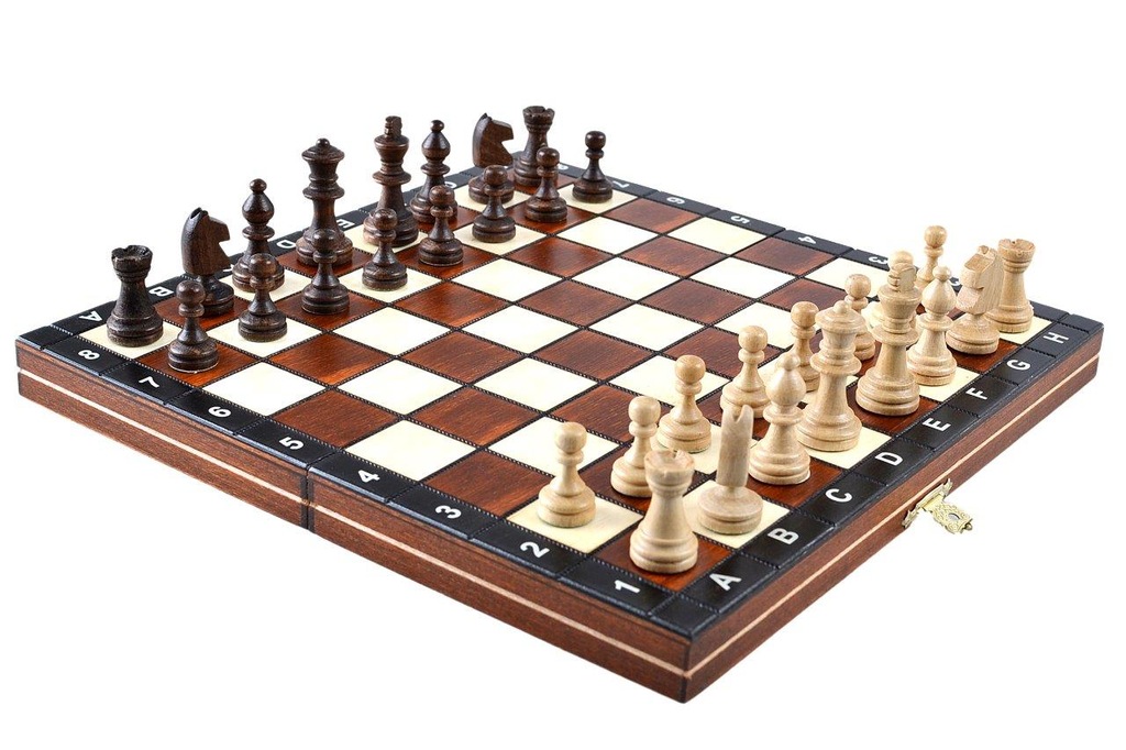 Купить E-CHESS COM Деревянные МАГНИТНЫЕ шахматы для путешествий: отзывы, фото, характеристики в интерне-магазине Aredi.ru