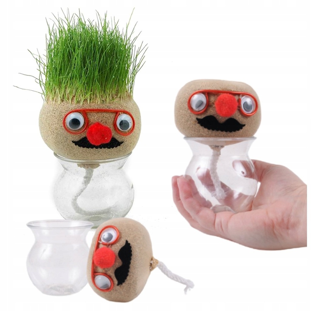 ROŚLINKA LUDZIK PAN Z TRAWĄ TRAWA NA GŁOWIE UPRAWA