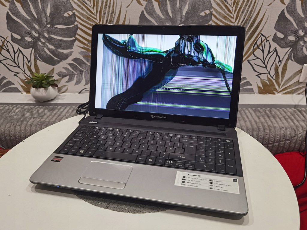 Packard Bell TE 15,6 cala / USZKODZONY