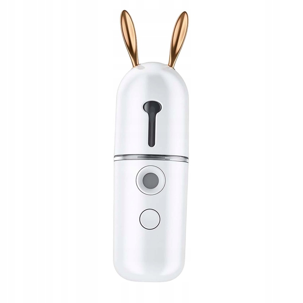 Portable Nano Facial Mister Sprayer Facial Steamer Face Humidifier for