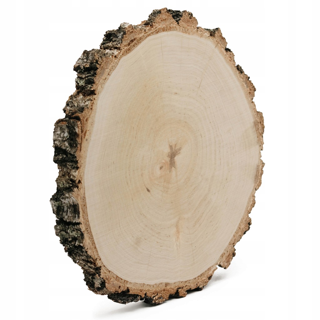 Plaster drewna o śr. 24-28 cm, gr. 2,5 cm, szlifow