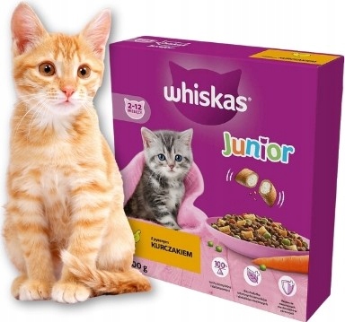 Whiskas Kot Junior Sucha Karma z kurczakiem 800g