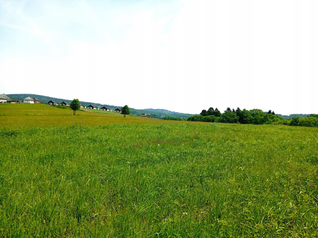 Działka, Marcówka, 7000 m²