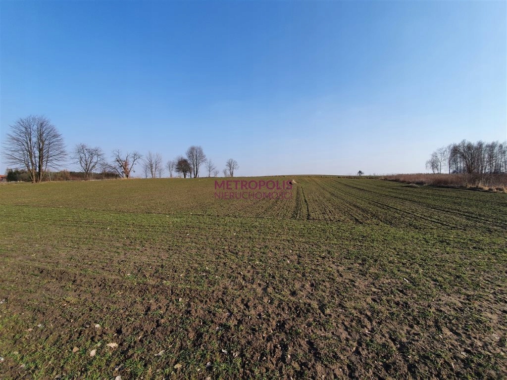 Działka, Pilchowice, Pilchowice (gm.), 1560 m²