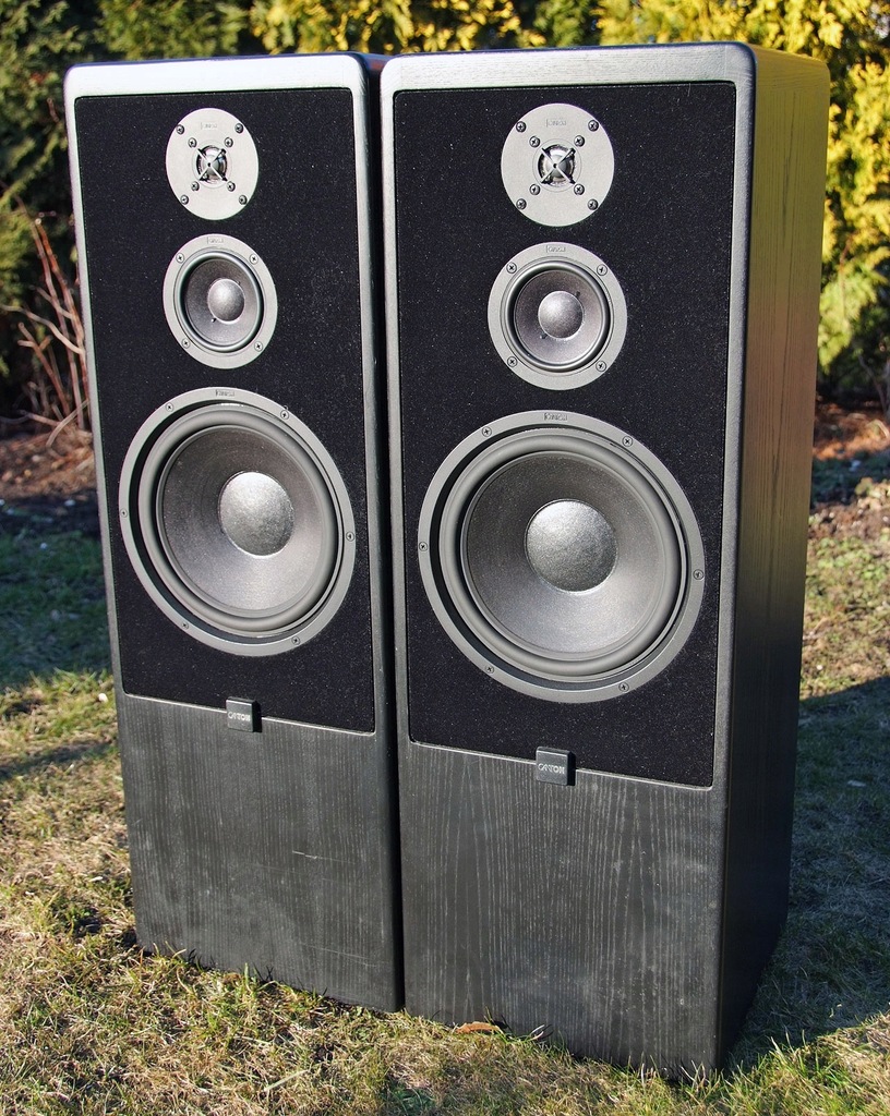 Canton ct cheap 90 speakers