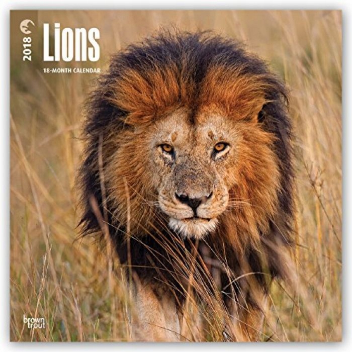 BrownTrout Publishers Lions 2018 Wall Calendar