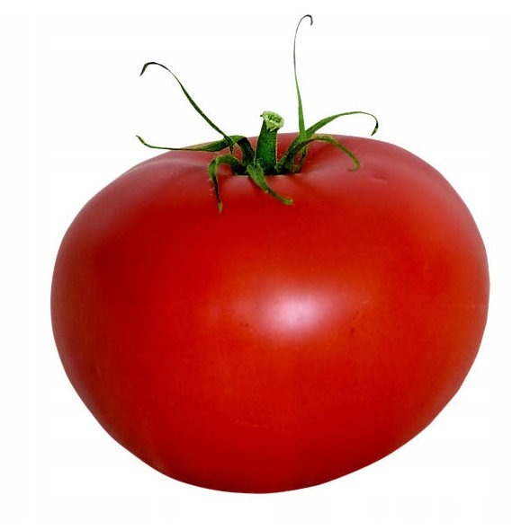 POMIDOR BARON ODPORNA ODMIANA SZKLARNIOWA KLASYK - 8834913235 ...