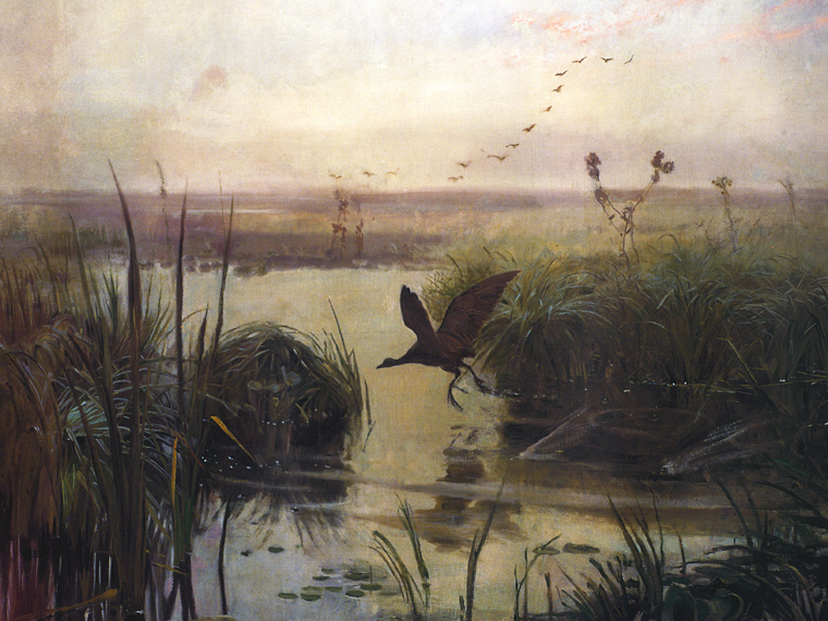 Digi Art Chełmoński KURKA WODNA 60X80