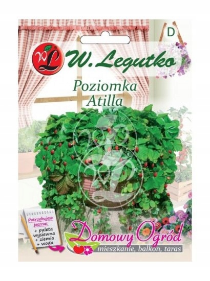 Poziomka Attila 0.1g - Domowy Ogród