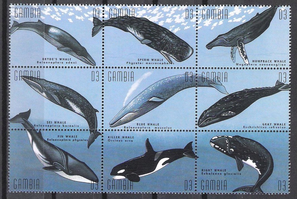 GAMBIA MNH FISH MARINE LIFE