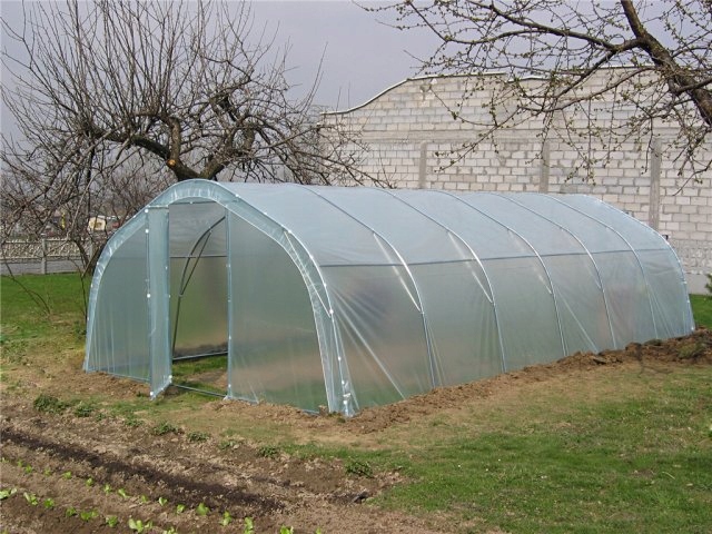 Tunel foliowy ogrodniczy duży 4x8,4m foliak
