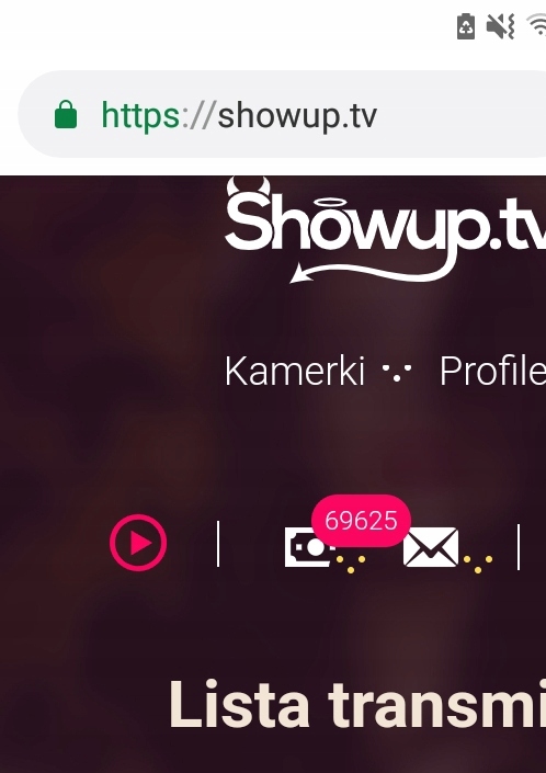 Showup Kamerki