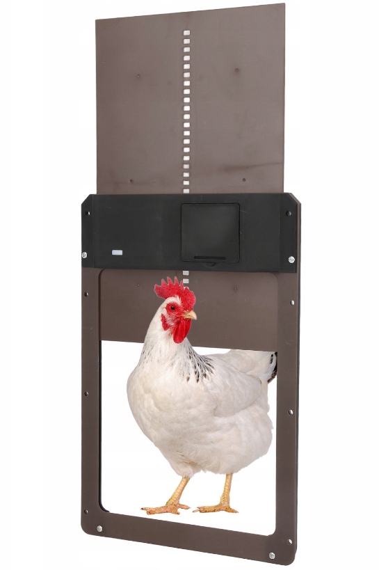 AUTOMATYCZNE DRZWI DO KURNIKA KURY GĘSI KACZK