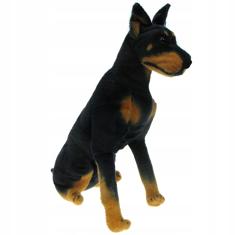 ZOO: maskotka Pies Doberman siedzący 60cm (16627)