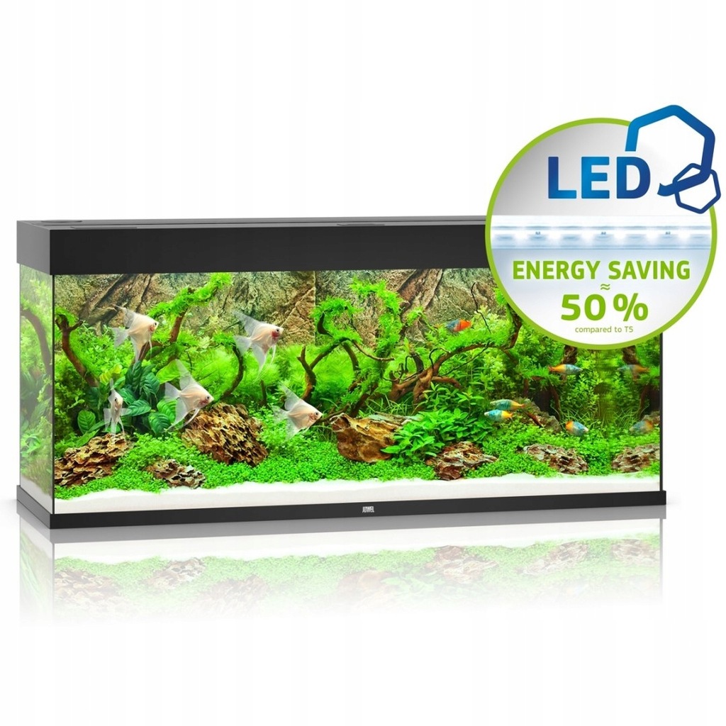 Juwel Rio 240 LED czarny - akwarium