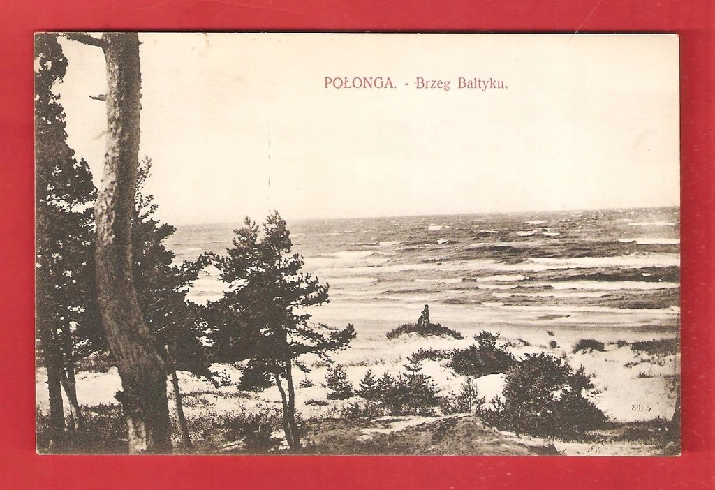 POŁĄGA Palanga Brzeg Baltyku P. Mongird