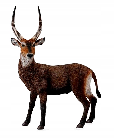 ANTYLOPA WATERBUCK L