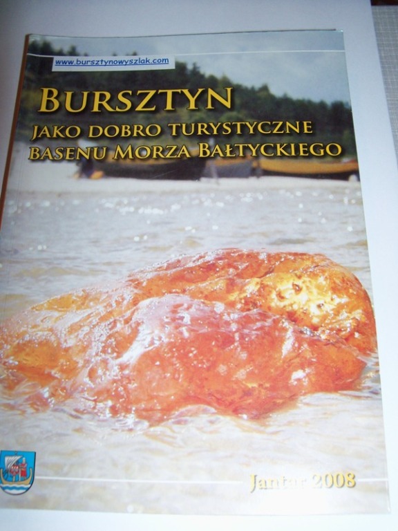 Publikacja o bursztynie