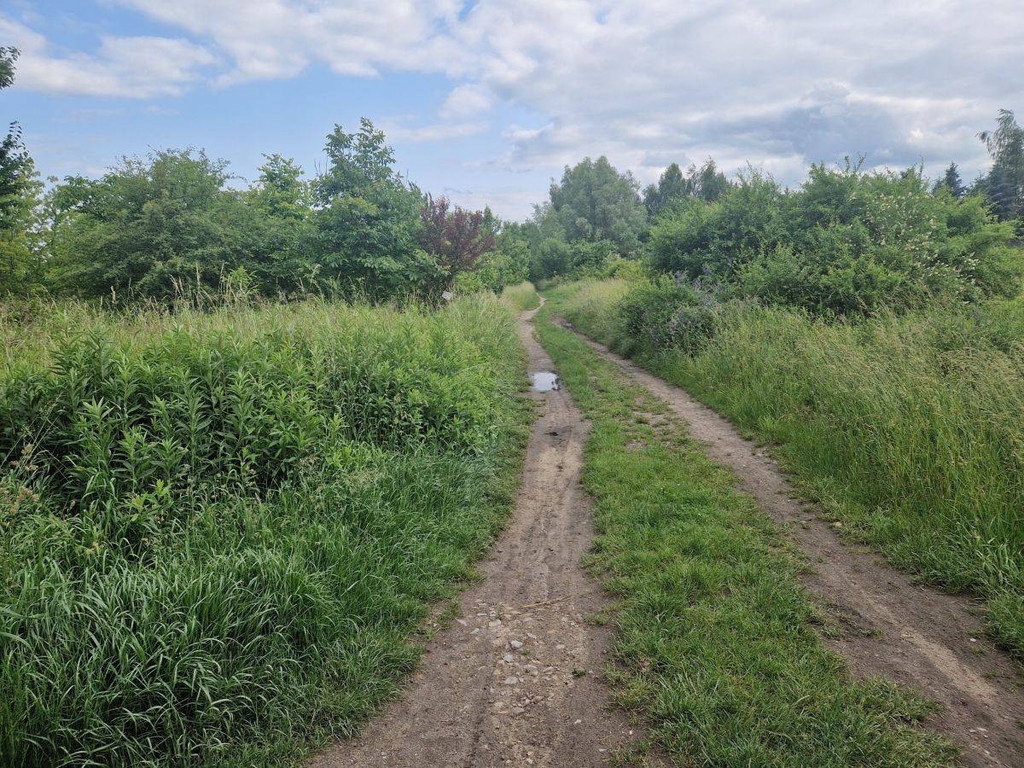 Działka, Wrocław, Krzyki, Brochów, 3980 m²