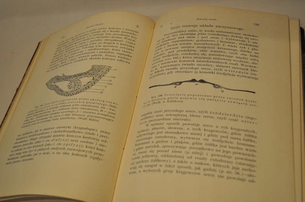 Купить 1912 ЭМБРИОЛОГИЯ 1-2 РАЗВИТИЕ ЖИВОТНОГО МИРА 986: отзывы, фото, характеристики в интерне-магазине Aredi.ru