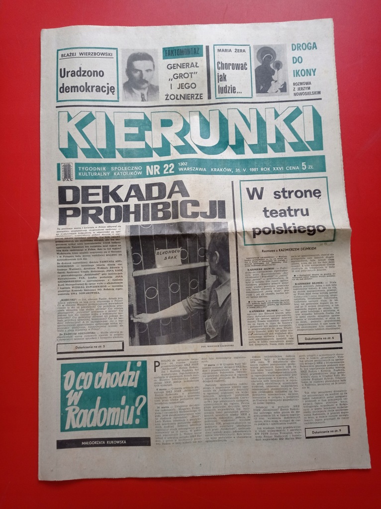 Kierunki tygodnik nr 22 / 1981; 31 maja 1981