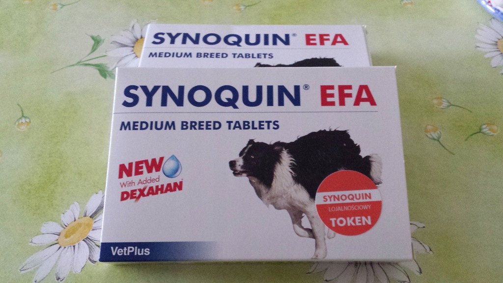 Synoquin EFA 40 tab