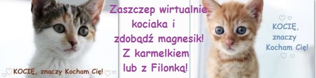 Zaszczep kociaka z Kociej Łapki - zdobądź magnes!