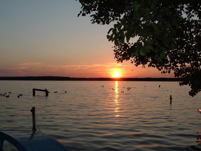 Weekend Boszkowo-Letnisko, Jezioro - Las   "WOŚP"