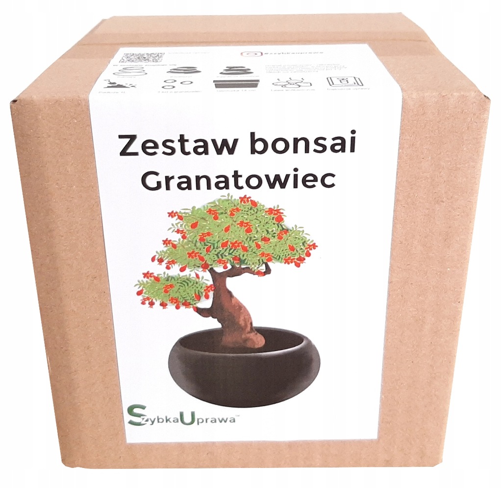 Zestaw do Uprawy BONSAI granatowiec czarna cerami