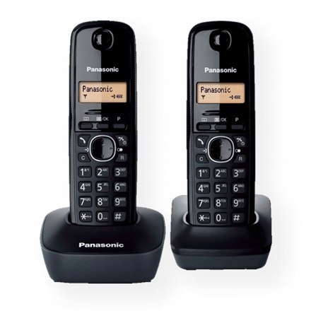 Panasonic Cordless KX-TG1612FXH Black, Caller ID,