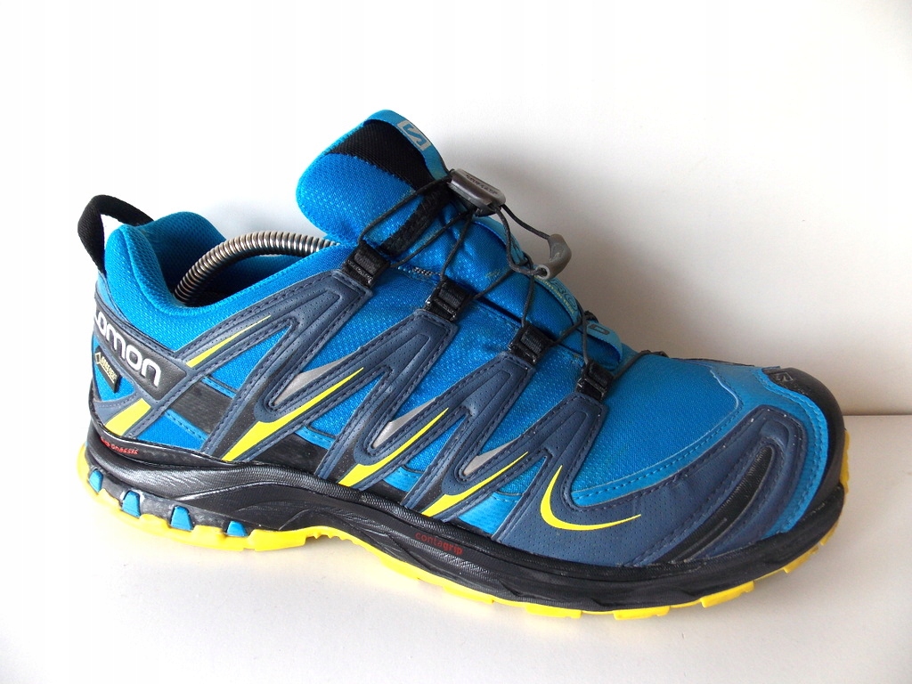 salomon xa pro 3d chassis gore tex