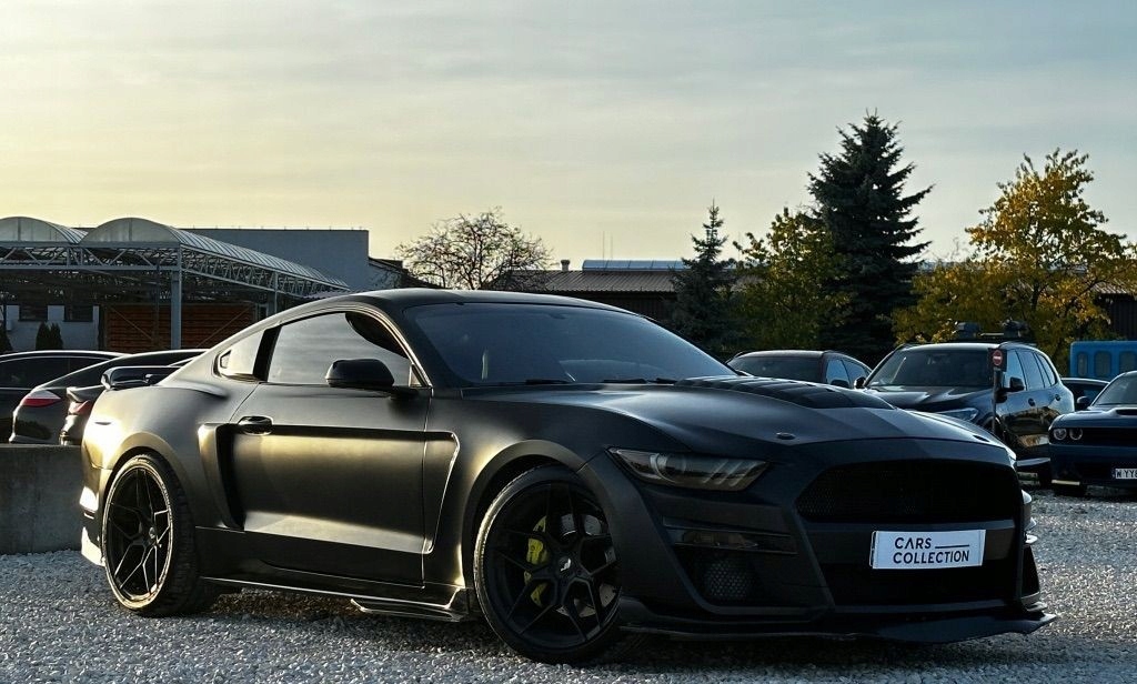 Ford Mustang Pakiet Shelby GT500 Martwe Pole ...