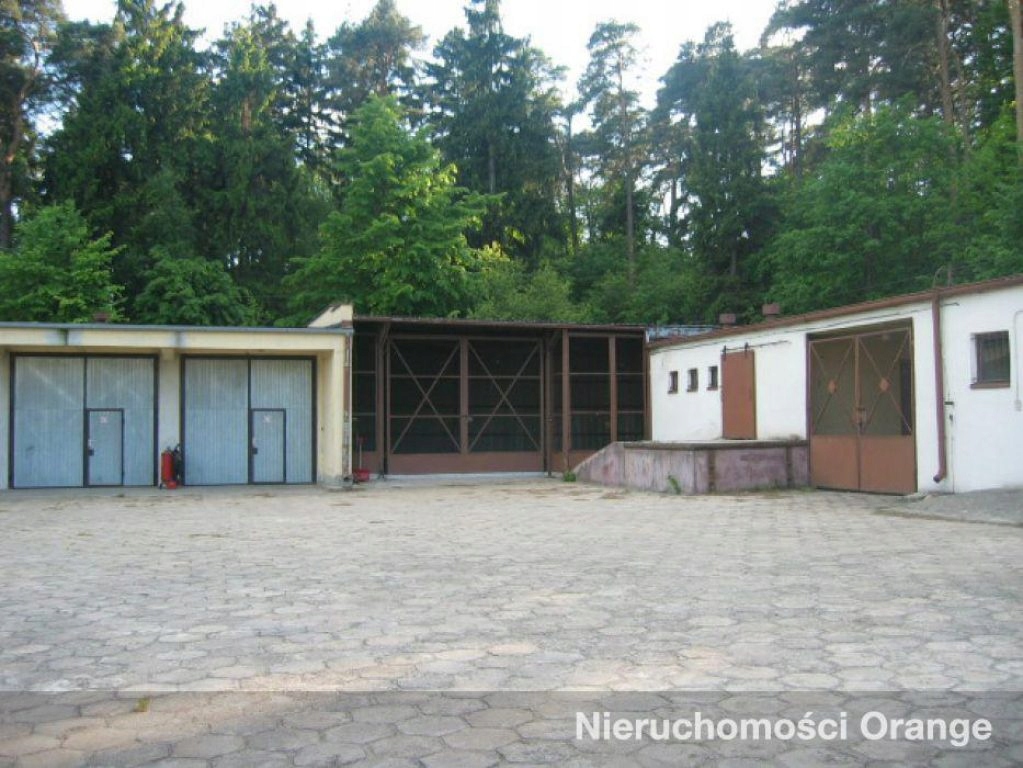 Komercyjne, Szubin, Szubin (gm.), 530 m²