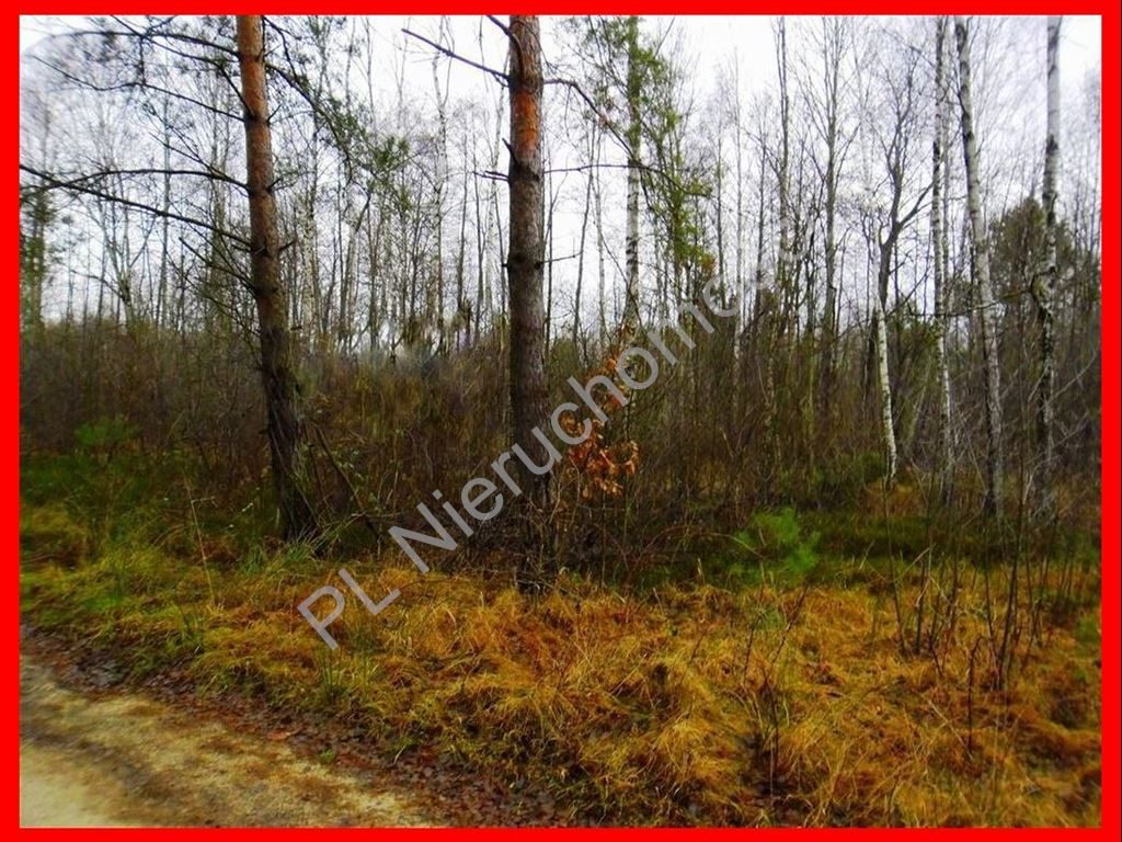 Działka Dobre, miński, 2983,00 m²