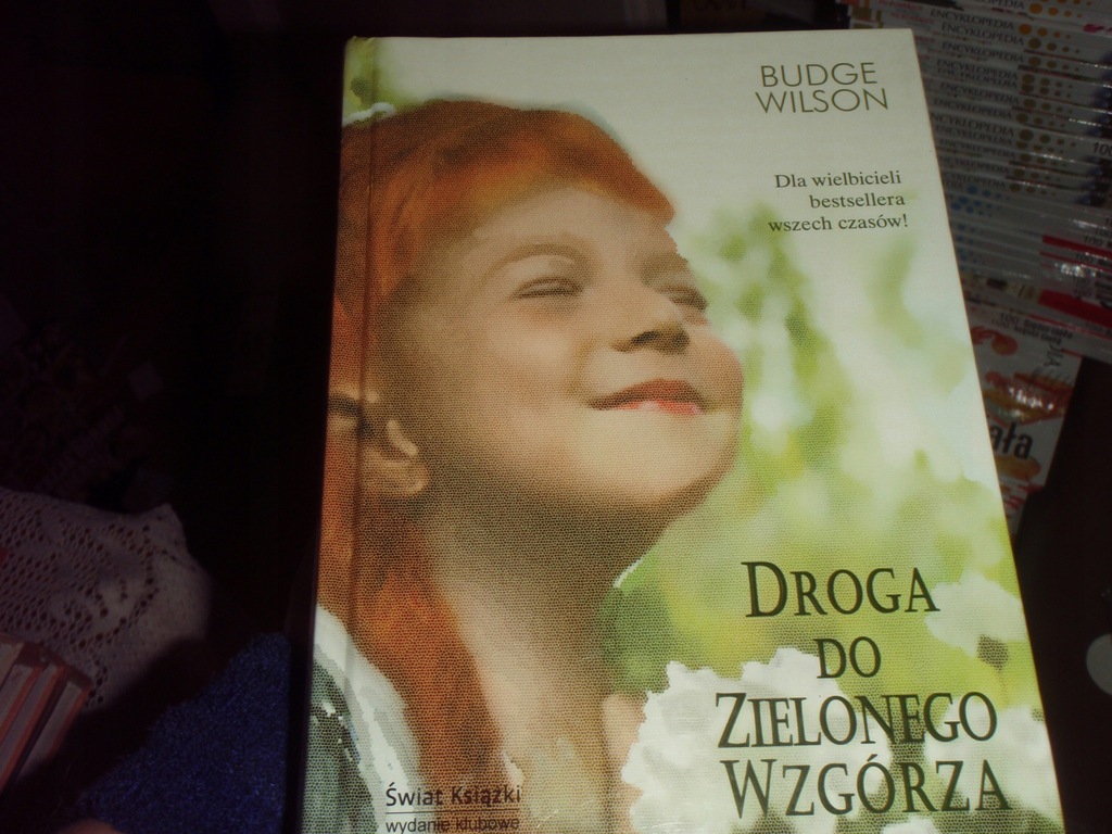 Droga do Zielonego Wzgórza - Wilson Budge