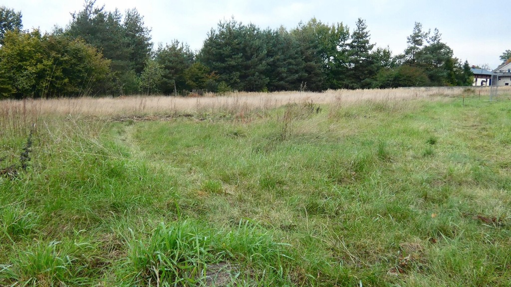 Działka, Miasteczko Śląskie, 925 m²